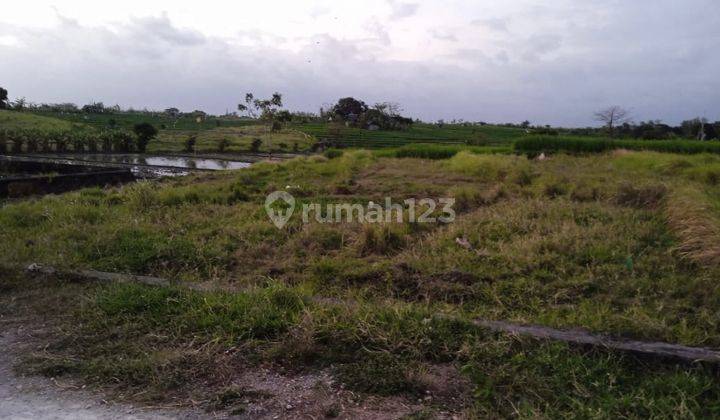  Cheap Land Plots in Kerobokan SHM - Certificate of Ownership 300 M² 1