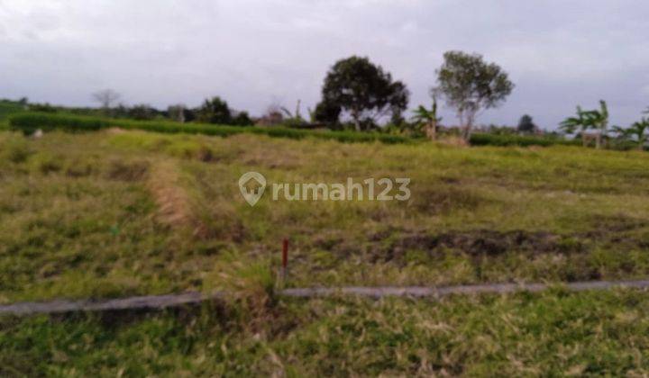  Cheap Land Plots in Kerobokan SHM - Certificate of Ownership 300 M² 2