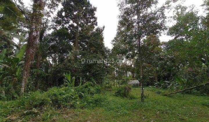  Tanah Murah  di Mengwi Cocok Untuk Industri  SHM - Sertifikat Hak Milik 3150 M² 1