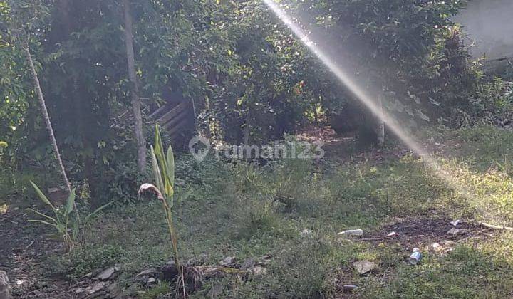  Tanah di Mengwi SHM - Sertifikat Hak Milik 4500 M² 1