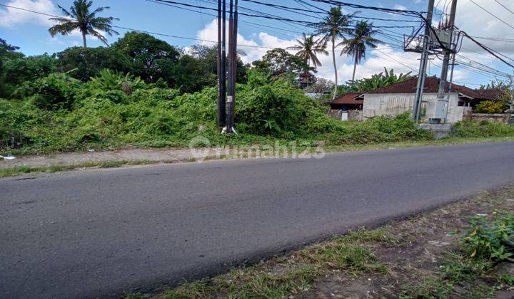  Tanah Tabanan Cocok Untuk Gudang Hak Milik 4600 M² 2