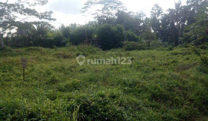  Cheap Petulu Land in Ubud SHM - Certificate of Ownership for 922 Are 2