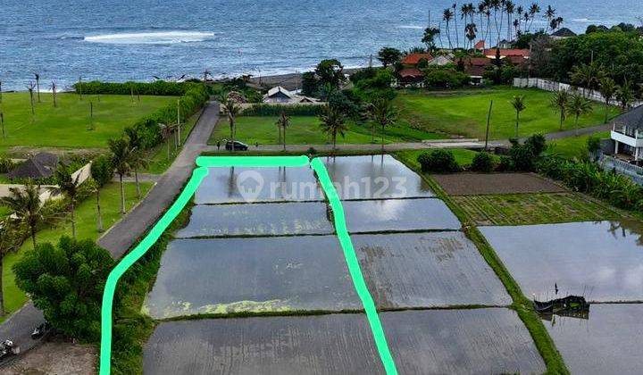  Tanah Kavling Premium Pantai  di Ketewel SHM - Sertifikat Hak Milik 350 Are 2