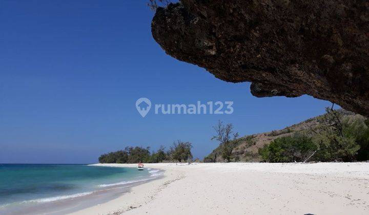 Tanah Ocean View  di Pantai marapu, Kodi SHM - Sertifikat Hak Milik 2000 M² Tanah 2