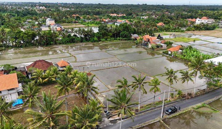  Tanah Kavling  di Ubud SHM - Sertifikat Hak Milik 460 M² 1