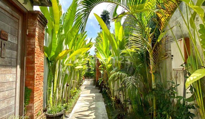 Luxury Villa Ubud 56 Are 15 Villas + 18 Spa For Sale Nice Furnished House Shm - Certificate of Ownership in Ubud 2