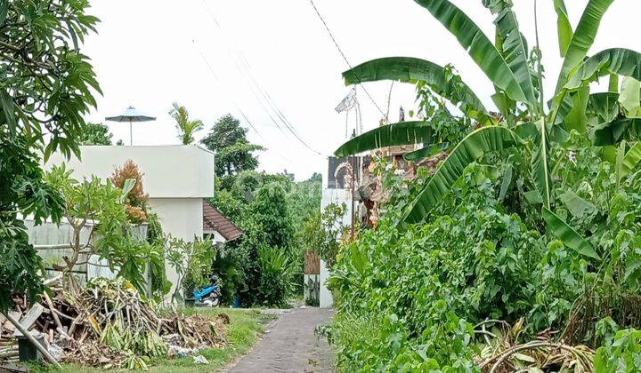  Cheap Land in Canggu SHM - 100 Squaremeter Ownership Certificate 1