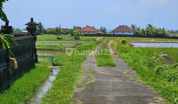  Tanah Ocean Ricefield  SHM - Sertifikat Hak Milik 3680 Squaremeter di Kelating 2