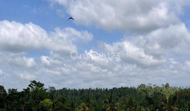  Tanah Murah  di Tegallalang SHM - Sertifikat Hak Milik 2620 Squaremeter 2