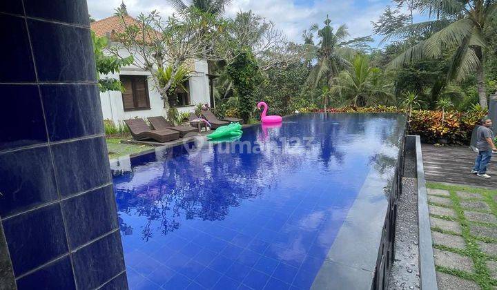 Villa Ubud  Furnished Rumah Bagus SHM - Sertifikat Hak Milik di Ubud 1