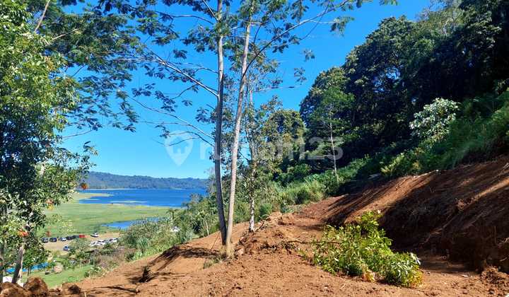 Cheap land 6000m2 Bedugul Tabanan Bali