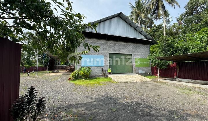 Warehouse for Rent in Mengwi 2500.0 M² Unfurnished Freehold Certificate Warehouse for Rent in Mengwi 2500.0 M² Unfurnished Freehold Certificate
