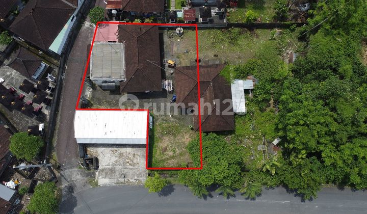 Tanah di Canggu 335 M² SHM Cocok untuk Bisnis