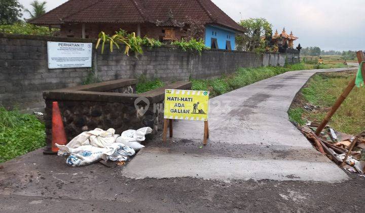 Tanah Murah Di Tabanan Yeh Gangga SHM - Sertifikat Hak Milik 1950 m² 1