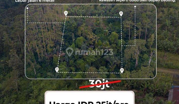  Tanah Murah  di Kintamani SHM - Sertifikat Hak Milik 3400 Squaremeter 1