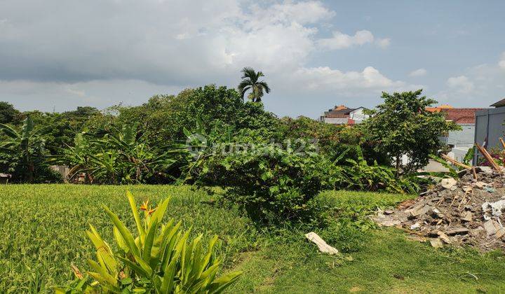 Land for Rent in Canggu SHM - Freehold Certificate 580 Squaremeter 2