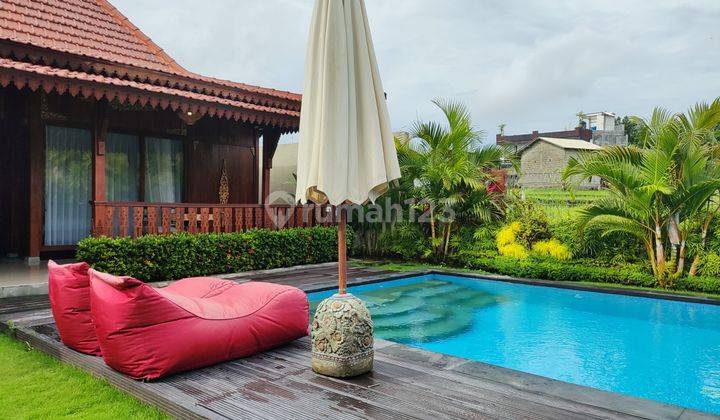 Rumah Semi Villa Furnished Kontrakan Bagus SHM - Sertifikat Hak Milik di Canggu 1