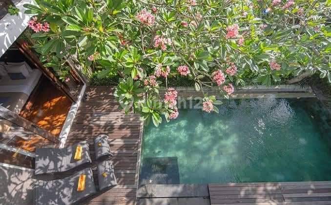 Nice Furnished Villa SHM - Freehold Certificate in Canggu House 1