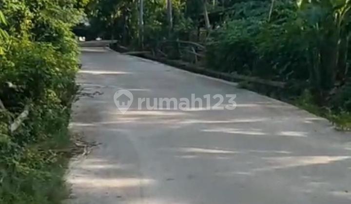 Affordable Land in Pujut Lombok 8 Are Suitable for Your Business Affordable Land in Pujut Lombok 8 Are Suitable for Your Business