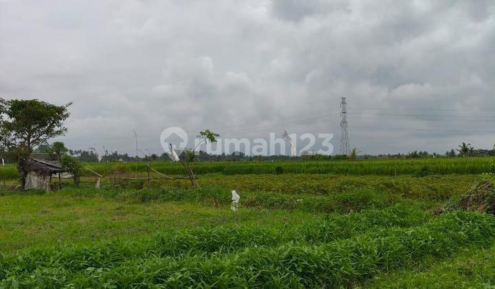 Cheap Land Plot in Mengwi with SHM 100 m²