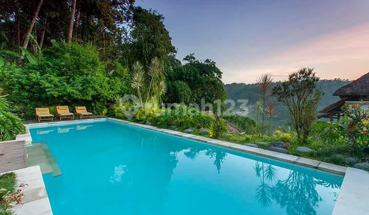 5 Unit Luxury Vila Tegalalang Bali Cocok untuk Bisnis Anda