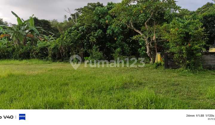 Cheap Land in Kerambitan with Certificate 900.0 m²