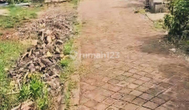  Tanah Murah Komersial  di Seminyak SHM - Sertifikat Hak Milik 1100 Squaremeter 2