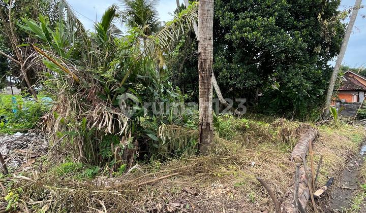 Tanah di Kaba Kaba 4700 M² SHM Cocok untuk Bisnis Anda Tanah di Kaba Kaba 4700 M² SHM Cocok untuk Bisnis Anda