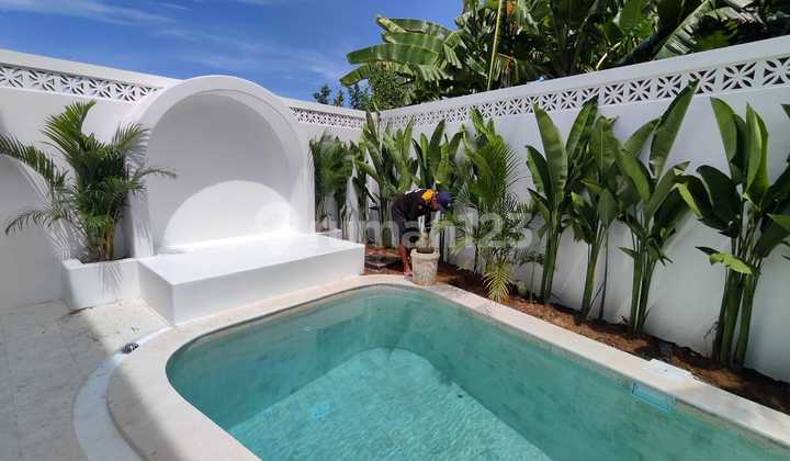 Villa sewa tahunan murah seseh Canggu Bali 