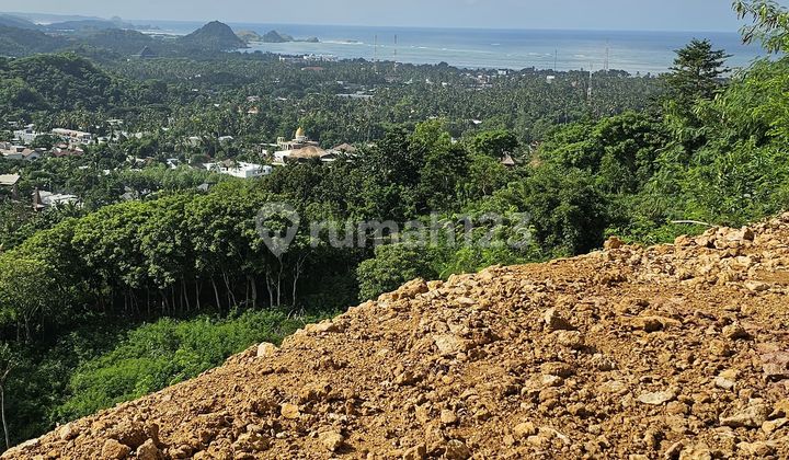 Cheap Land in Selong Belanak 2400 SHM m² Cheap Land in Selong Belanak 2400 SHM m²