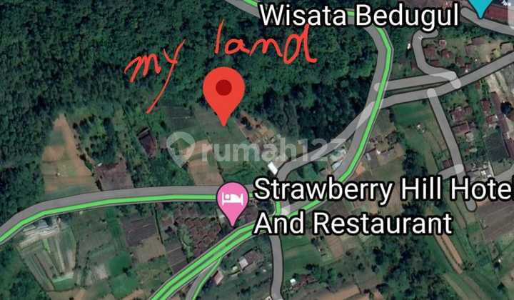 Tanah Murah di Bedugul 1600 SHM M²