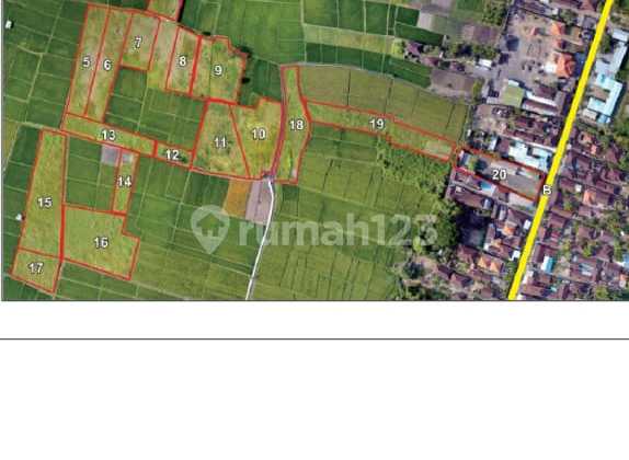 Tanah Murah Di Mengwi 2,3 Hektar Cocok Untuk Perumahan Ekslusif