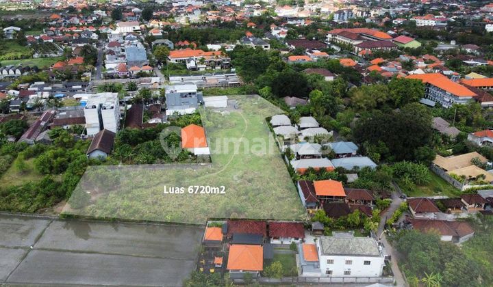 Cheap Land in Seminyak Bidadari Freehold Certificate - 6700 m²