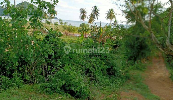 Tanah murah 2000 m2 SHM selong belanak lombok barat 1