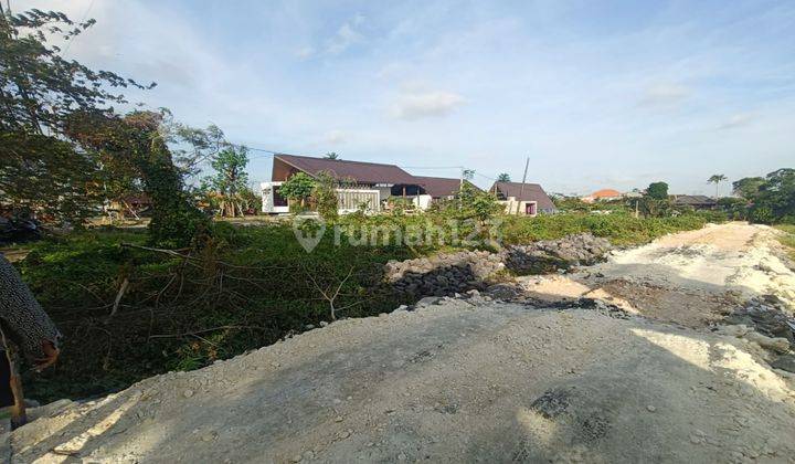  Tanah Sewa  di Canggu SHM - Sertifikat Hak Milik 150 Squaremeter 1