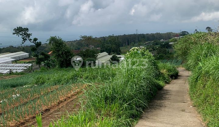 Cheap Land in Bedugul 4900 M² SHM Suitable For Your Business Cheap Land in Bedugul 4900 M² SHM Suitable For Your Business