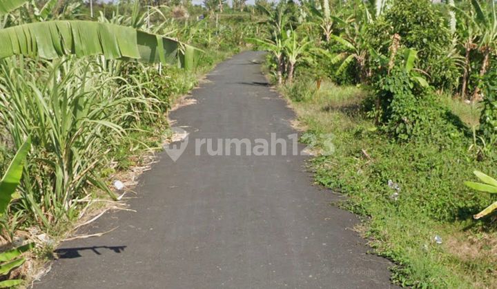 Affordable Plot of Land with SHM Certificate, Suitable for Your Business