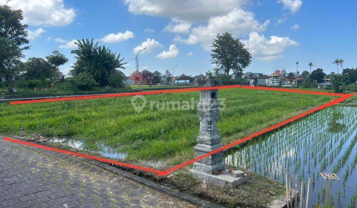  Tanah Sewa  di Canggu SHM - Sertifikat Hak Milik 1230 Squaremeter 2