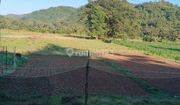 Tanah Murah Lombok 43 Are Bukit Selong Selo Cocok Untuk Bisnis Anda  1