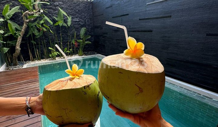 Villa Umalas Di Sewakan Minimal 2 Tahun Cocok Untuk Bisnis Anda di Umalas