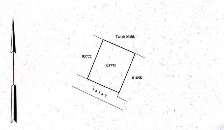 Tanah Murah di Kutuh SHM - Sertifikat Hak Milik 300 m² 1