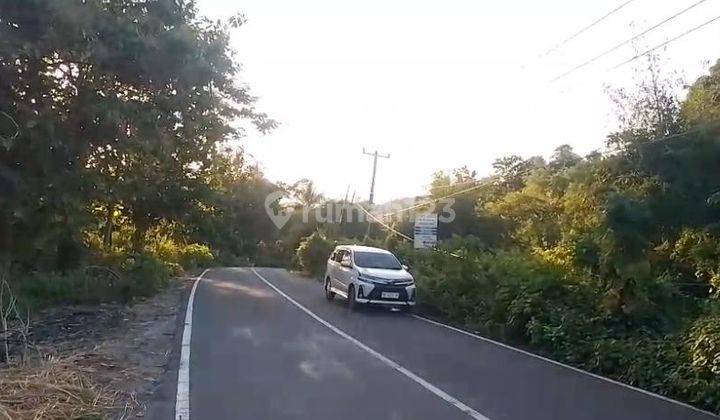 Tanah Murah Lombok 75 Are Dekat Artati Restaurant Cocok Untuk Bisnis Anda  2