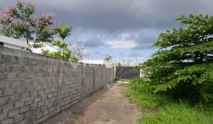 Tanah Murah di Canggu 354 M² SHM Cocok untuk Bisnis Anda Tanah Murah di Canggu 354 M² SHM Cocok untuk Bisnis Anda