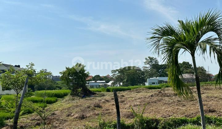 Tanah Murah Di Canggu Berawa SHM - Sertifikat Hak Milik 1390 m²