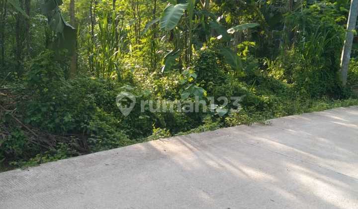 Affordable Land in Pujut Lombok 8 Are Suitable for Your Business Affordable Land in Pujut Lombok 8 Are Suitable for Your Business