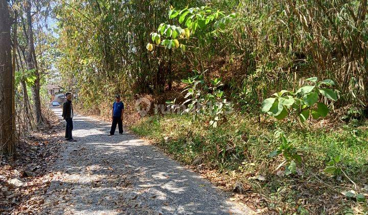  Tanah Murah  di Tempuran SHM - Sertifikat Hak Milik 342 Squaremeter 1