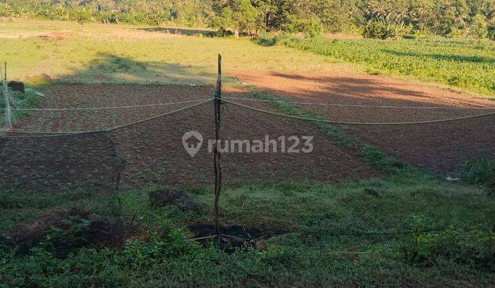 Tanah Murah Lombok 43 Are Bukit Selong Selo Cocok Untuk Bisnis Anda  2