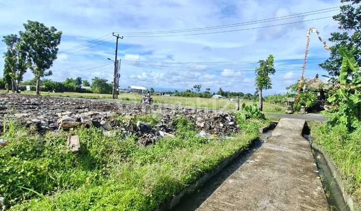 Tanah Sewa Murah di Canggu 9700 M² SHM