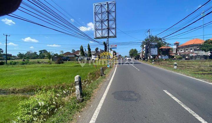  Tanah Murah Sewa Tahunan  di Tanah Lot SHM - Sertifikat Hak Milik 1500 Squaremeter 1