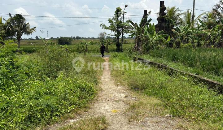 Cheap Land Plot in Mengwi with SHM 100 m²
